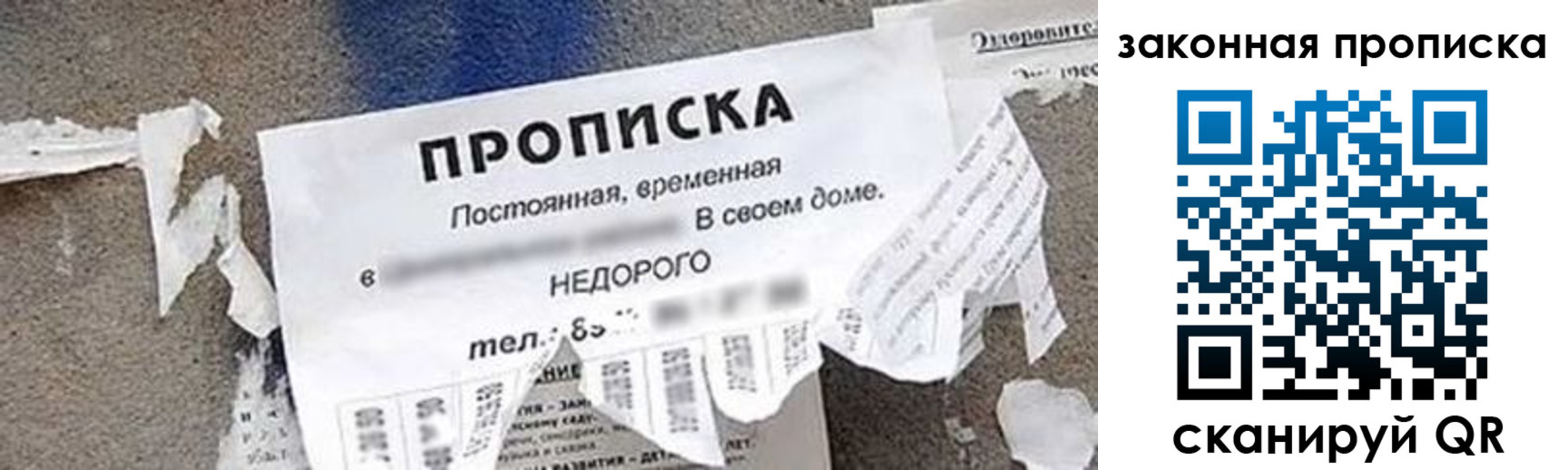 прописка иностранных граждан в Зеленоградске